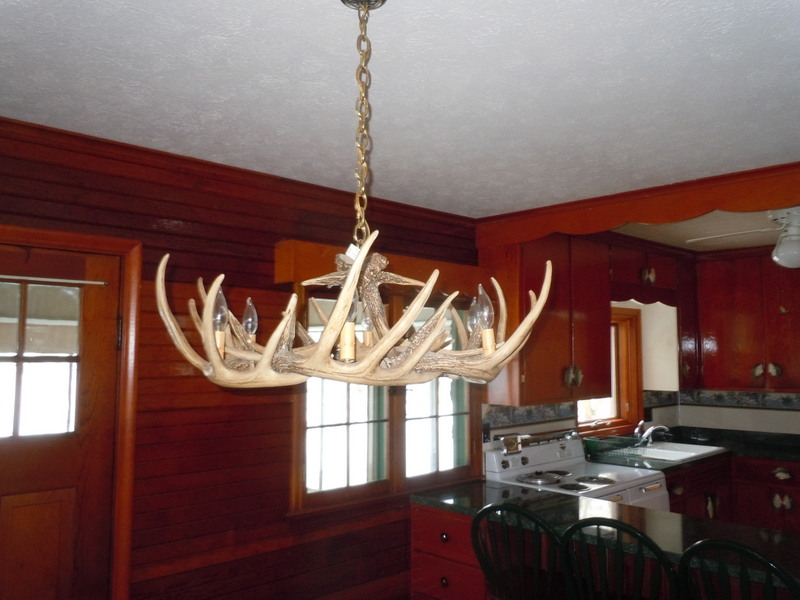 Deer horn light fixture